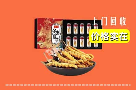 都安县回收冬虫夏草